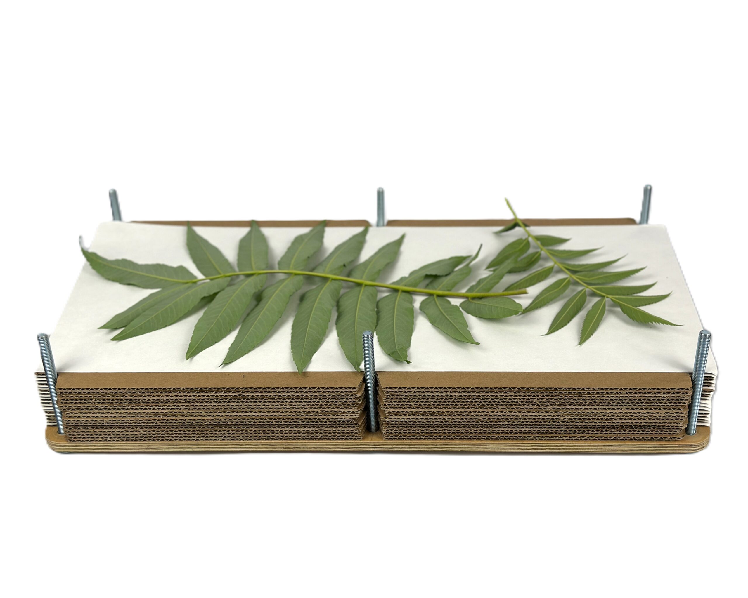 Prasa do suszenia roślin - obrazek 3