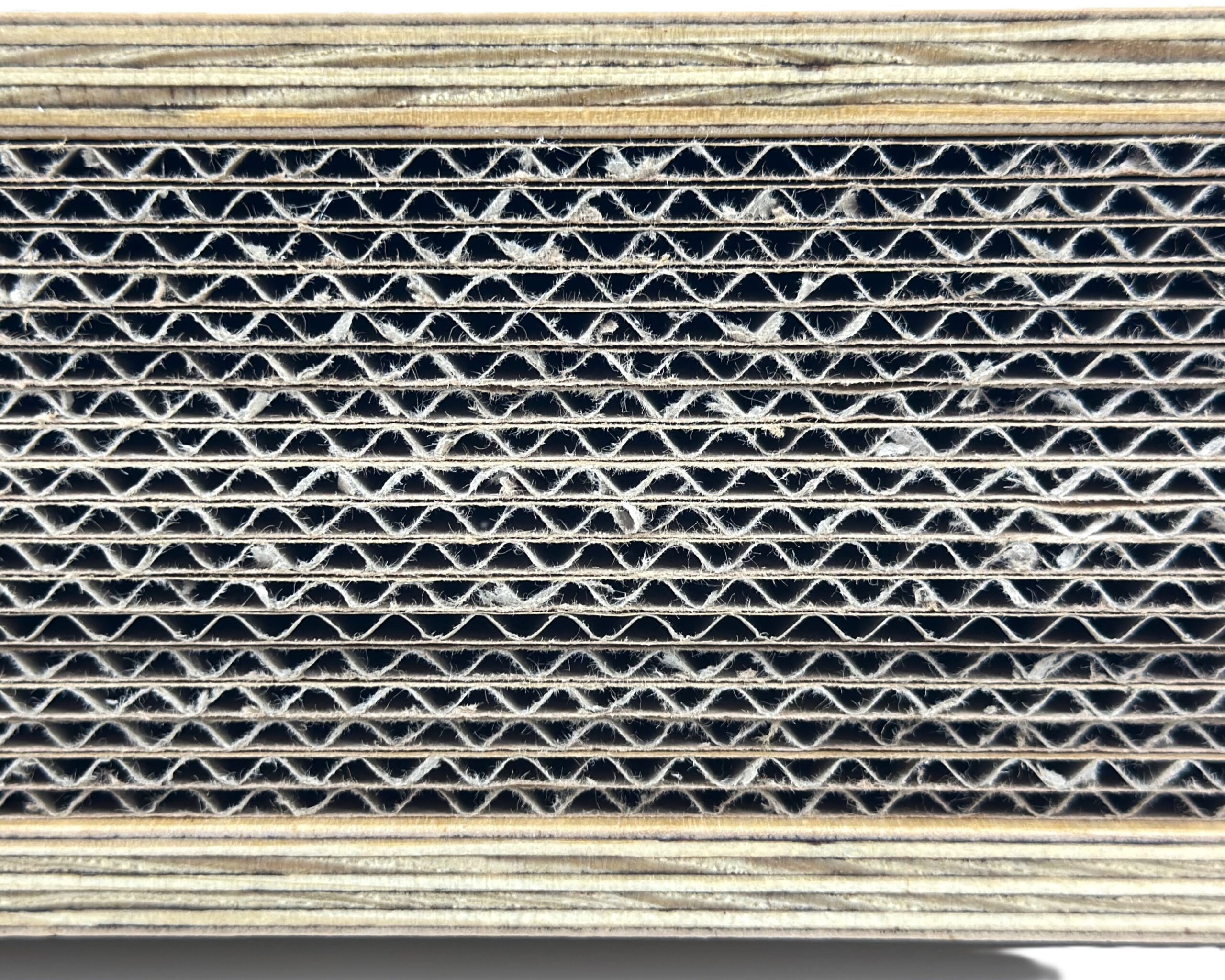 Prasa do suszenia roślin - obrazek 6